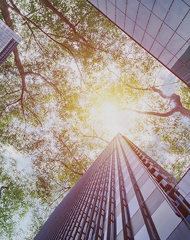 2024可持續(xù)發(fā)展報(bào)告